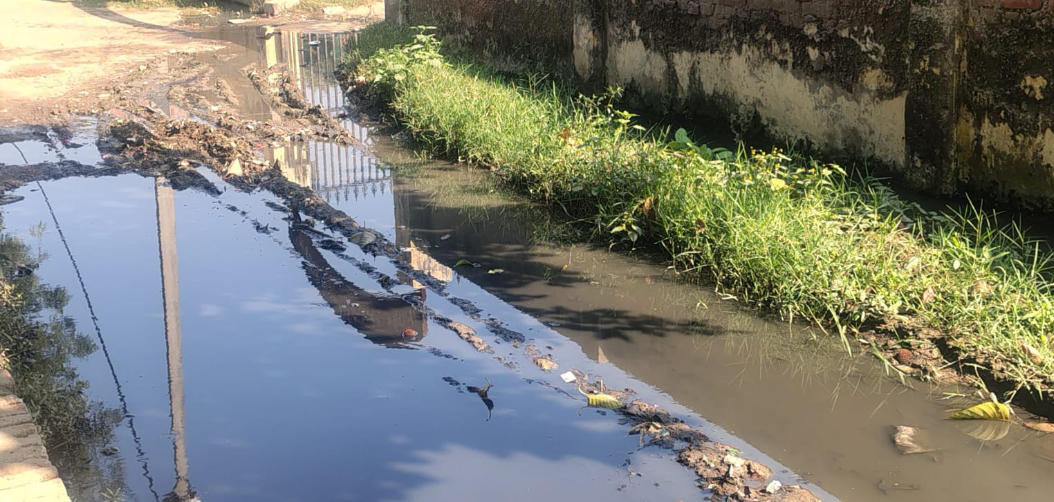 image editor output image 923604871 1764701046512 1